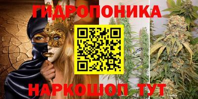 каннабис Дубна