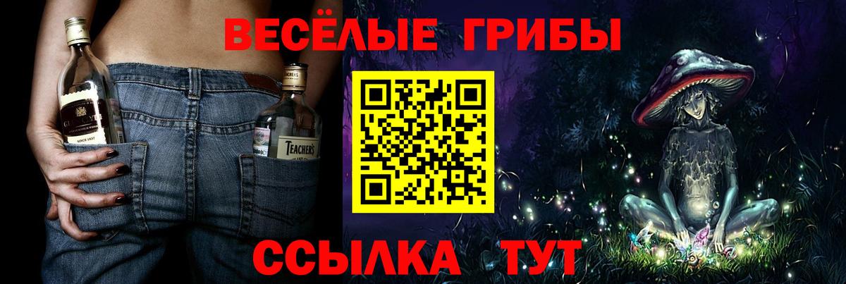 Псилоцибиновые грибы прущие грибы  Вход с VPN  Галлюциногенные грибы Magic Shrooms  Лыткарино 